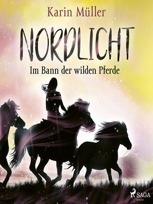 cover image of Nordlicht, Band 02